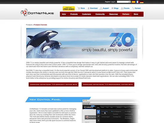 DotNetNuke — Website mockups